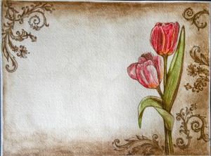Tulips, step by step