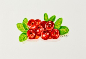 Very berry collection - cranberries