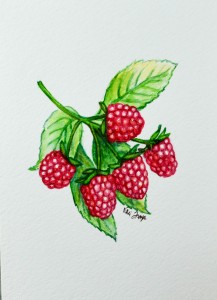 Very berry collection - raspberries