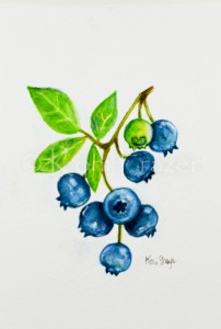 Very berry collection - blueberries