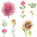10 most interesting watercolor flower series