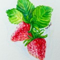 Very berry watercolor series